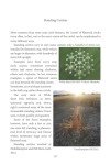 Crop Circles: Layers of Mystery