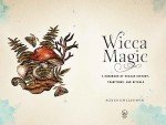 Wicca Magic: A Handbook of Wiccan History, Traditions, and Rituals (17) (Mystical Handbook)
