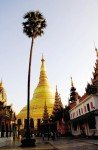 Sacred Sites of Burma: Myths and Folklore in an Evolving Spiritual Realm