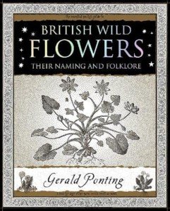 British Wild Flowers: Their Naming and Folklore (Wooden Books U.K. Series)