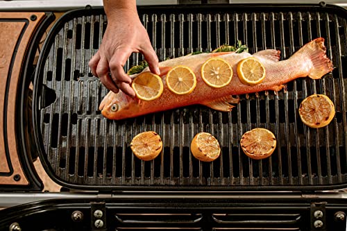 Weber Traveler Portable Gas Grill - Black