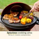 Cuisinart Outdoor Electric 2-in-1 BBQ Grills