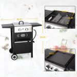 2-Burner Outdoor Gas Grill and Griddle Combo