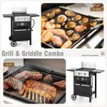 2-Burner Outdoor Gas Grill and Griddle Combo