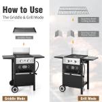 2-Burner Outdoor Gas Grill and Griddle Combo