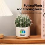 Loovelo Playing Pickleball Improves Memory Ceramic Succulent Plant Pot with Bamboo Tray Pickleball Gifts Pickleball Lovers Players Plant Lover 3.5 Inch White (No Plants)