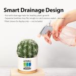 Loovelo Playing Pickleball Improves Memory Ceramic Succulent Plant Pot with Bamboo Tray Pickleball Gifts Pickleball Lovers Players Plant Lover 3.5 Inch White (No Plants)