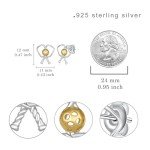 Pickleball Earrings S925 Sterling Silver Pickleball Gifts for Women Sports Jewelry Gifts for Women Pcikleball Players, Pcikleball Teams, Pcikleball lovers.