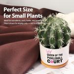 Loovelo Queen of The Pickleball Court Ceramic Succulent Plant Pot with Bamboo Tray Round Pickleball Gifts for Women Pickleball Lovers Players Plant Lover Home Office Decor 3.5 Inch White (No Plants)