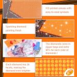 MOER SKY Retro Cool Pickleball Paddles Diamond Art Painting Art Kits 5D DIY Diamond Art Kits Home Wall Decor 12x16inch