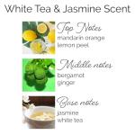 SweetHollow in My Pickleball Era Candle, Gift for Fitness Exercise Fans, Highly Scented & Long Lasting Luxury Coconut Wax, Large, White Tea & Jasmine