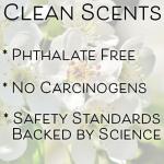 SweetHollow in My Pickleball Era Candle, Gift for Fitness Exercise Fans, Highly Scented & Long Lasting Luxury Coconut Wax, Large, White Tea & Jasmine