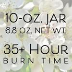 SweetHollow in My Pickleball Era Candle, Gift for Fitness Exercise Fans, Highly Scented & Long Lasting Luxury Coconut Wax, Large, White Tea & Jasmine