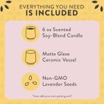 Modern Sprout Rooted Candle - 2 in 1 Cedarwood Scented & Soy Candle with Seeds That Grows into Lavender Plant - 6 oz w/ 42 hr Burn time in Matte Glaze Ceramic Vessel Ideal for Indoor Herb Garden