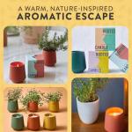 Modern Sprout Rooted Candle - 2 in 1 Cedarwood Scented & Soy Candle with Seeds That Grows into Lavender Plant - 6 oz w/ 42 hr Burn time in Matte Glaze Ceramic Vessel Ideal for Indoor Herb Garden