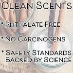 SweetHollow in My Pickleball Era Candle, Gift for Exercise Fitness Fans, Highly Scented & Long Lasting Luxury Coconut Wax, Large, Vanilla Cinnamon