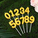 Fukaisu Pickleball Number Candle, Sport Theme Birthday Candle Pickleball Cake Topper Ball Theme Party Decorations for Birthday Game Day Celebration (Number 8)