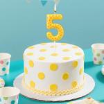 Fukaisu Pickleball Number Candle, Sport Theme Birthday Candle Pickleball Cake Topper Ball Theme Party Decorations for Birthday Game Day Celebration (Number 5)