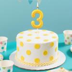 Fukaisu Pickleball Number Candle, Sport Theme Birthday Candle Pickleball Cake Topper Ball Theme Party Decorations for Birthday Game Day Celebration (Number 3)