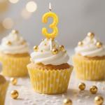 Fukaisu Pickleball Number Candle, Sport Theme Birthday Candle Pickleball Cake Topper Ball Theme Party Decorations for Birthday Game Day Celebration (Number 3)