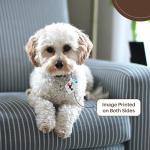 3dRose, Funny Cute Beagle Hound Dog Playing Pickleball Sports Cartoon, set of 2 Key Chains