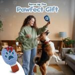 PUPROAR Pickleball Dog Toy – Valentines Day& Birthday Dog Toy Present & Pickleball Gift, Plush Pickle Ball Paddle with Interactive Squeaker & Crinkle, Funny Puppy Gift