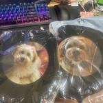 Claycosports Personalized Pickleball Paddle Cover, Customizable Pickleball Racket Cover, Paddle Case