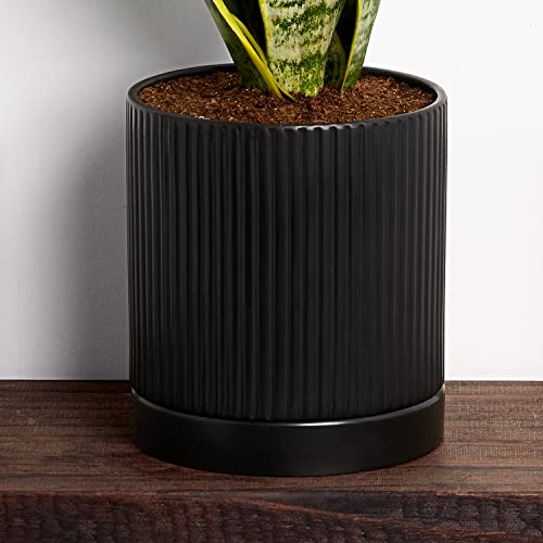 Snake Plant in Black Ceramic Pot - Low-Maintenance Houseplant