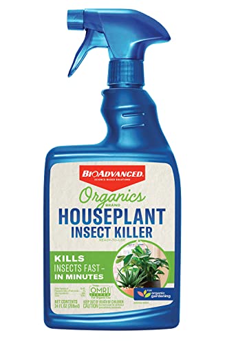 Organic houseplant insect killer, 24oz