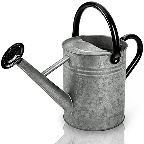 Vintage Zinc 1-Gallon Outdoor Watering Can