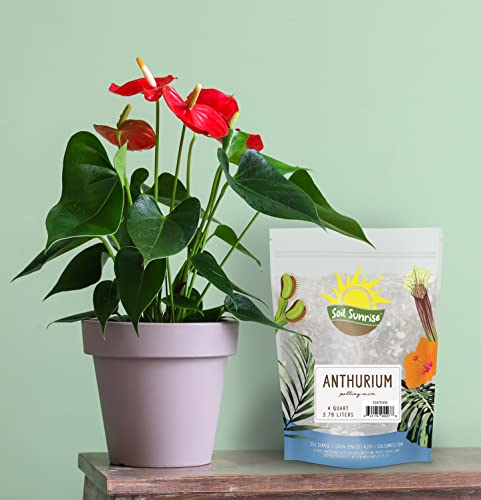 Flowering Anthurium Custom Soil Mix - 4Q