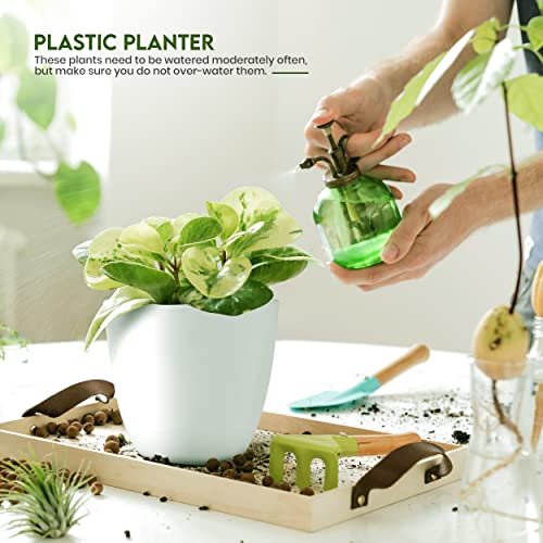Tropical Plant Plastic Pots - Pack of 5