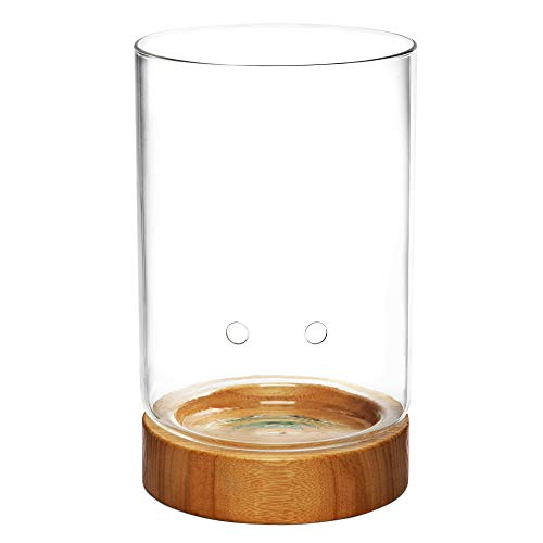 Glass Indoor Planter with Water Level Control & Wooden Base