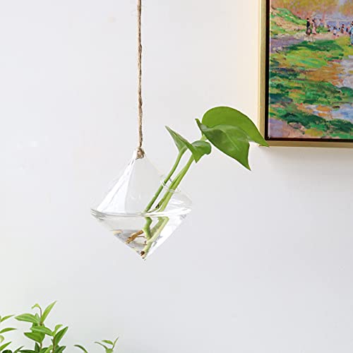 Hanging Glass Terrarium for Hydroponic Plants