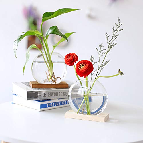 Round Glass Terrariums with Wooden Stand (2-pack)