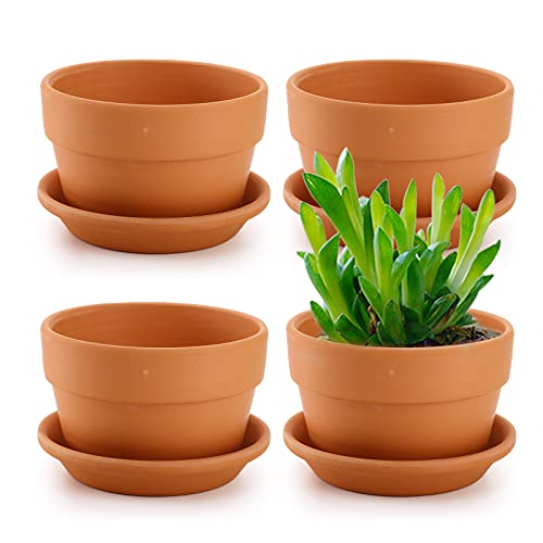 4-Pack 6" Terra Cotta Pots with Saucers