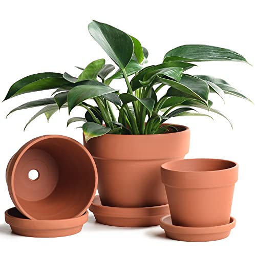 Set of Three Clay Plant Pots with Saucer