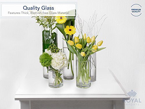 Clear Glass Cylinder Vase for Floral Decor