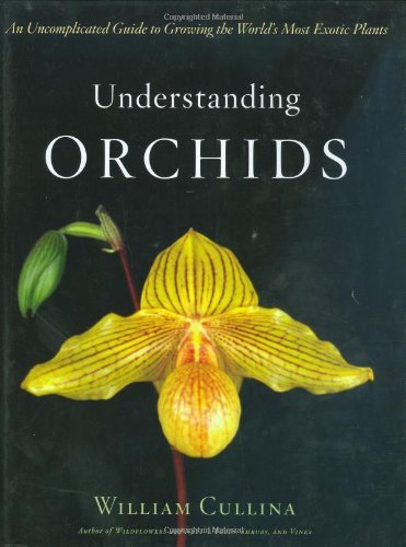 Easy Guide to Growing Exotic Orchids