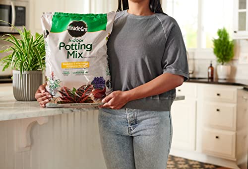 Indoor Potting Mix for Container Plants (2-Pack)