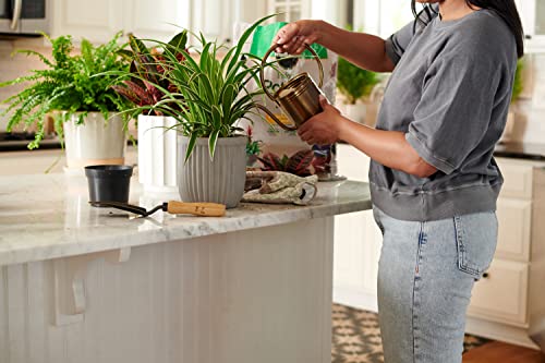 Indoor Potting Mix for Container Plants (2-Pack)
