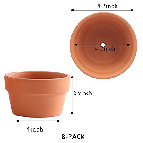 5" Terracotta Clay Pot for Indoor/Outdoor Succulents/Cactus