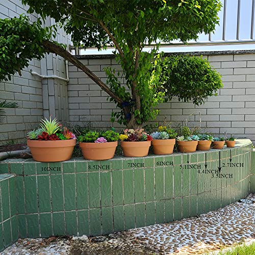 5" Terracotta Clay Pot for Indoor/Outdoor Succulents/Cactus