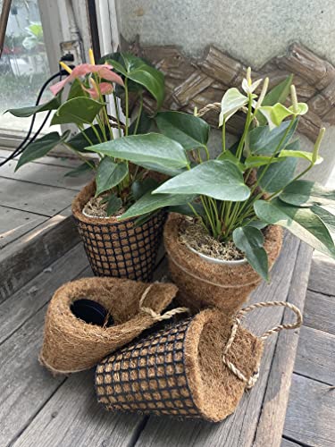 Handmade Thai Coconut Coir Bird Nest Planter Set