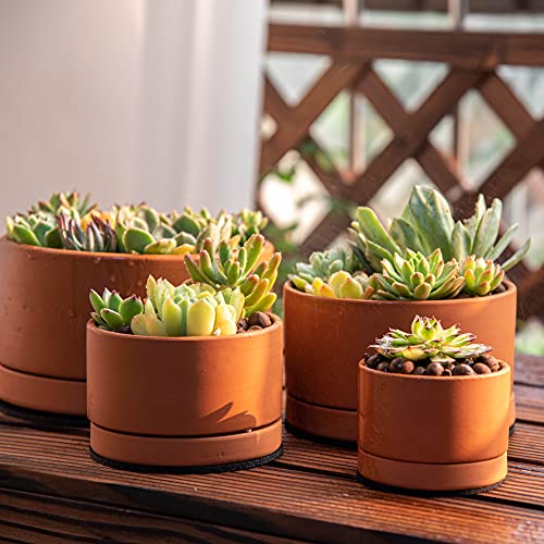 4-Piece Terracotta Succulent Planter Set with Saucer