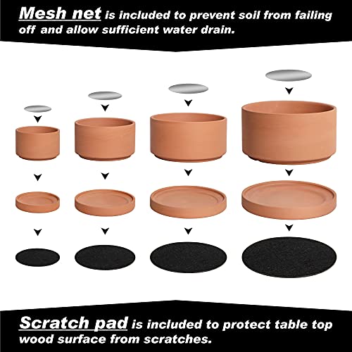 4-Piece Terracotta Succulent Planter Set with Saucer