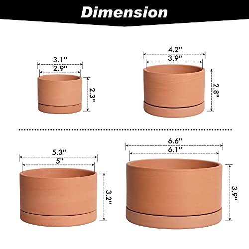 4-Piece Terracotta Succulent Planter Set with Saucer