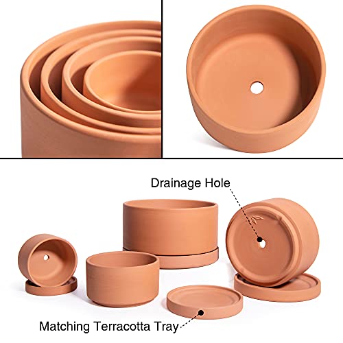 4-Piece Terracotta Succulent Planter Set with Saucer