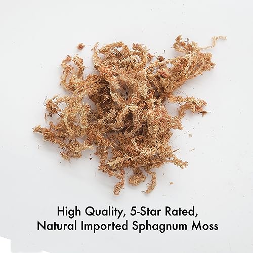 Better Gro Orchid Moss - 190 cu.in