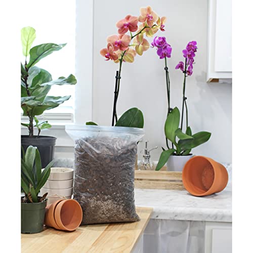 Tropical Plant Potting Mix - 2 QTs
